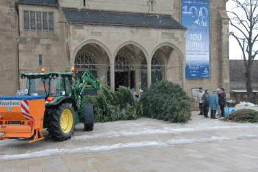 Christbumestellen 2010