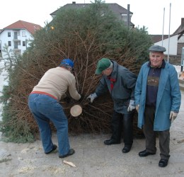 Christbumestellen 2010