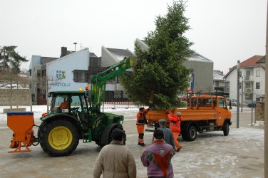 Christbumestellen 2010