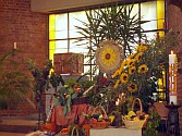 Erntedank Mbg 2009