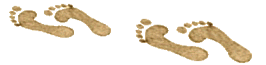 Spurensuche