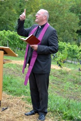 Historischer Weinberg