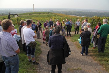 Weinwanderung