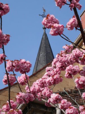 Frühling