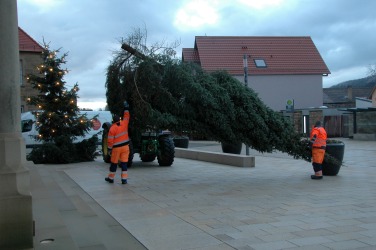 Weihnachtsbume