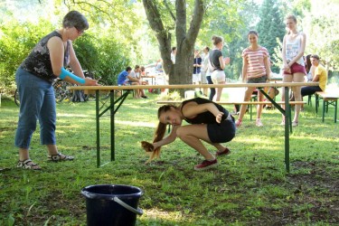 Firm-Grillen