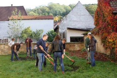 Firm-Grillen
