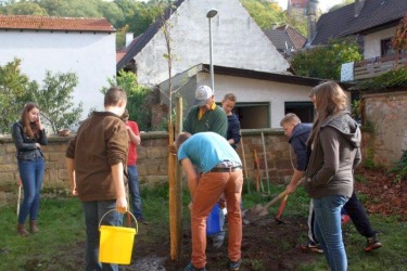 Firm-Grillen