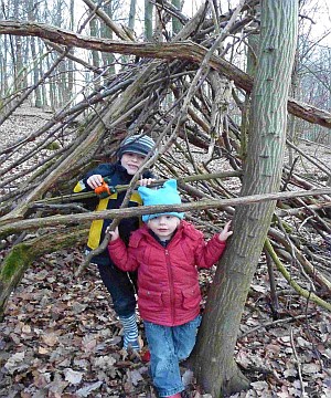 Wald